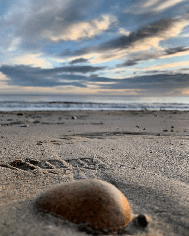 Istantanea schermo 2020-03-29 (19.05.24)